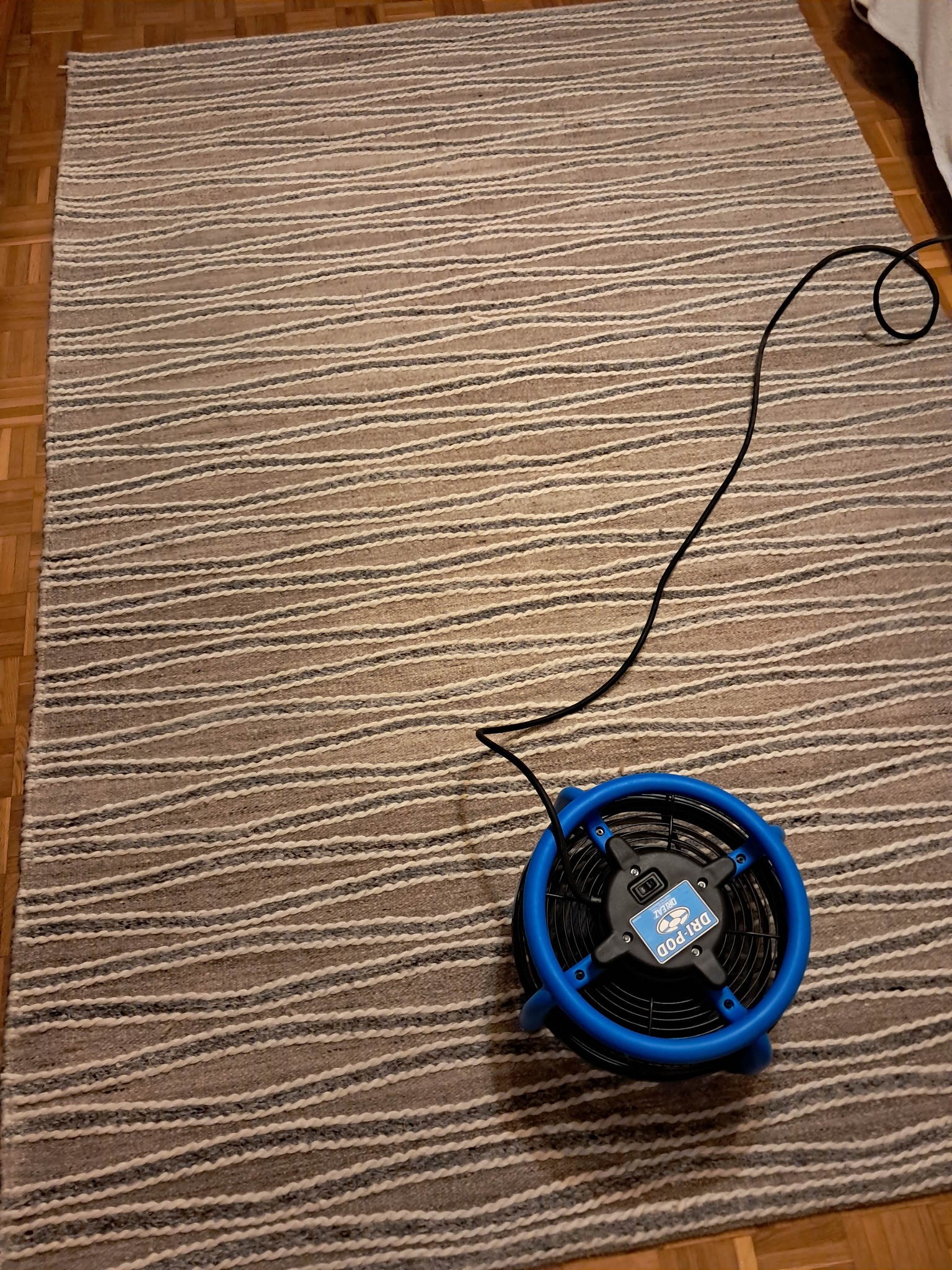 Suszarka do dywanów DRI-POD na wzorzystym dywanie w paski, kabel zasilający widoczny na tle drewnianej podłogi.