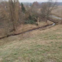 Fragment krajobrazu z brzegiem strumienia, suchą trawą i nagimi drzewami w tle, uchwycony z góry w pochmurny dzień.