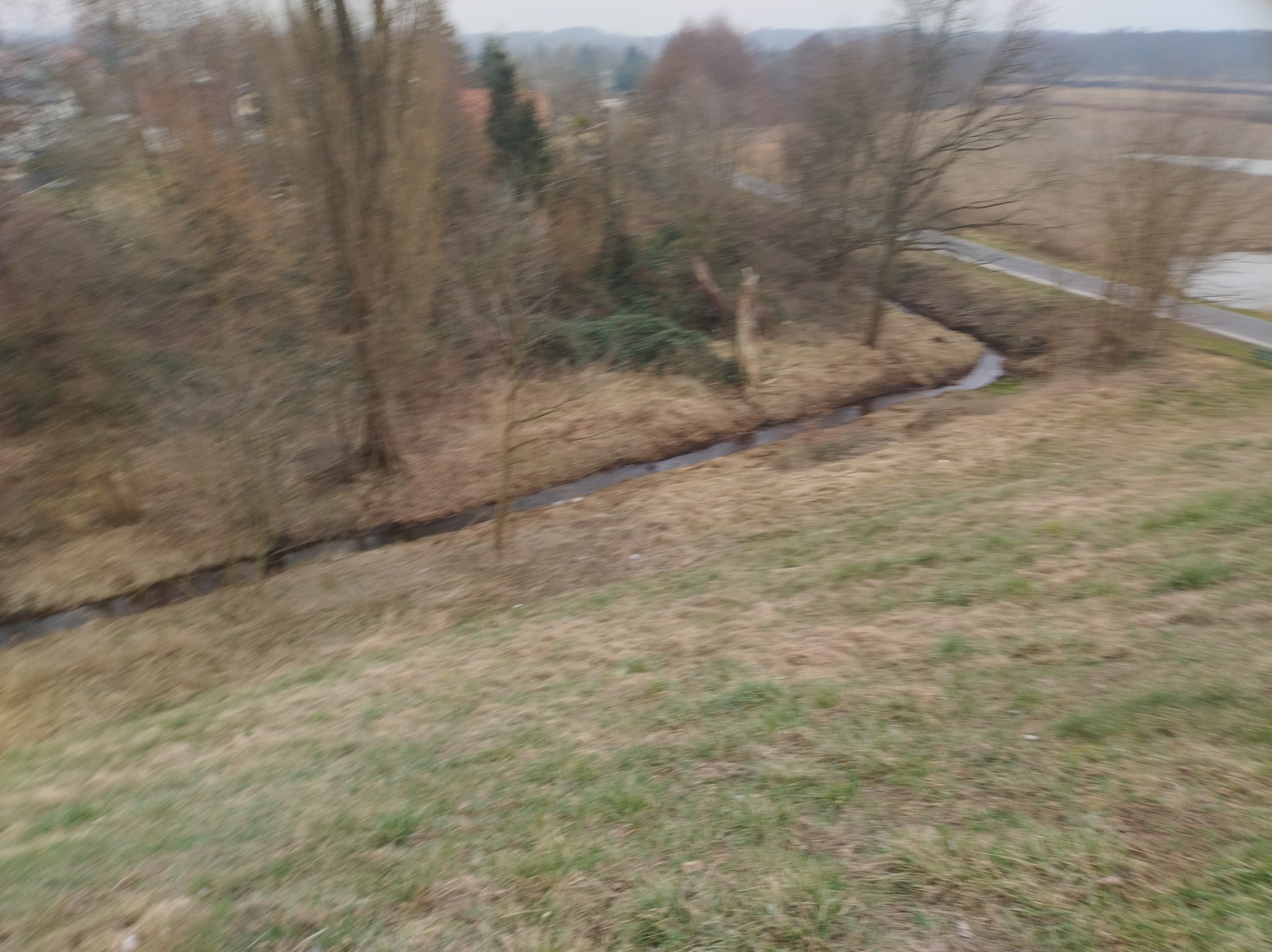 Fragment krajobrazu z brzegiem strumienia, suchą trawą i nagimi drzewami w tle, uchwycony z góry w pochmurny dzień.