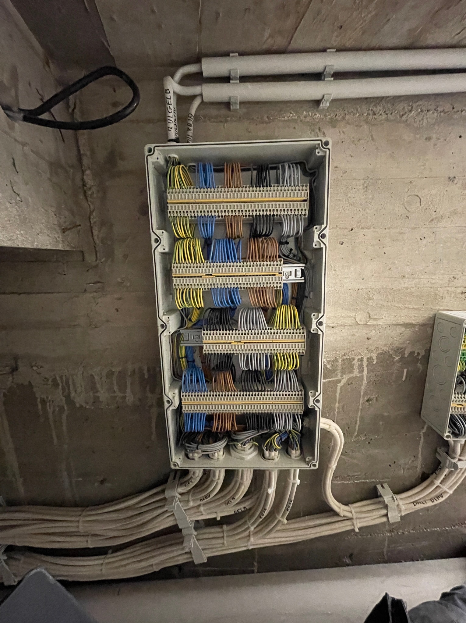 Otwarta skrzynka rozdzielcza z kolorowymi przewodami elektrycznymi, zamontowana na surowej betonowej ścianie w Ranowie, widoczne oznaczenia na kablach.