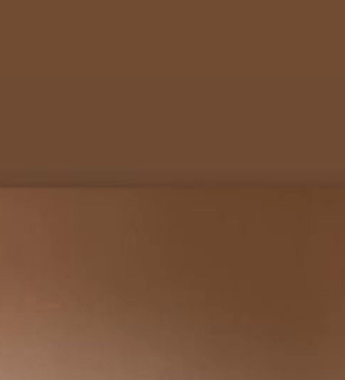 Świeżo pomalowana ściana w jednolitym, ciepłym odcieniu brązu, widoczny fragment sufitu tworzący delikatną linię cienia.