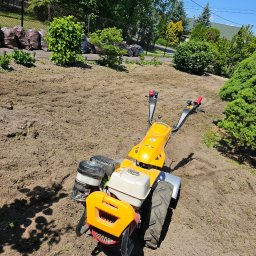 Wycinka drzew Szynwałd 1