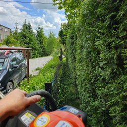 Wycinka drzew Szynwałd 2