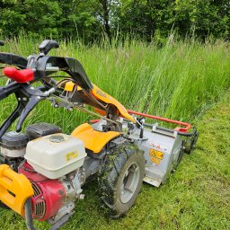 Wycinka drzew Szynwałd 3