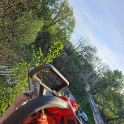 Wycinka drzew Szynwałd 4