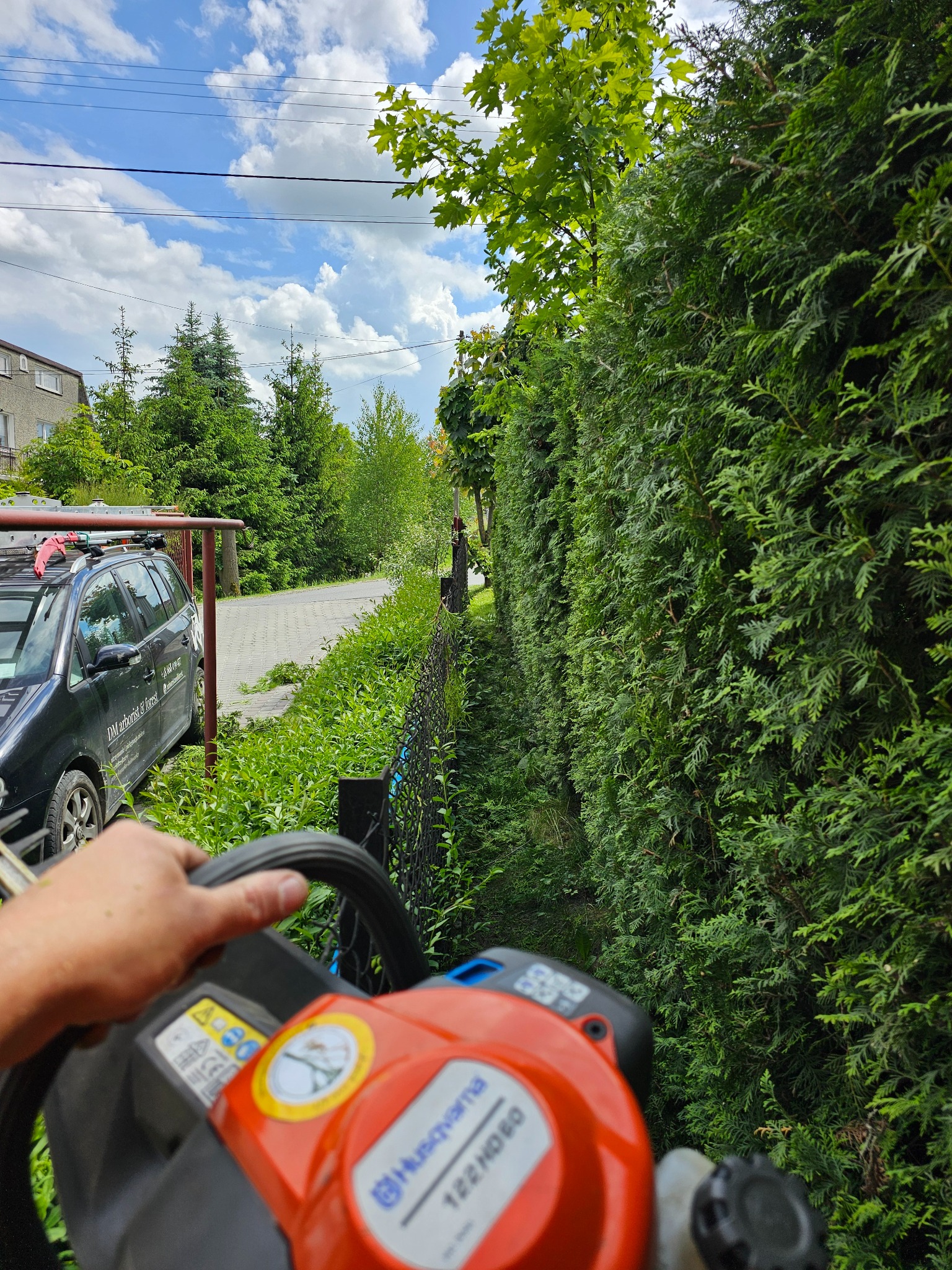 Przycinanie wysokiego żywopłotu z tui przy użyciu elektrycznych nożyc Husqvarna 122HD60, widok z perspektywy operatora, w tle zaparkowany samochód z napisem 'DM Arborist & Forest'.