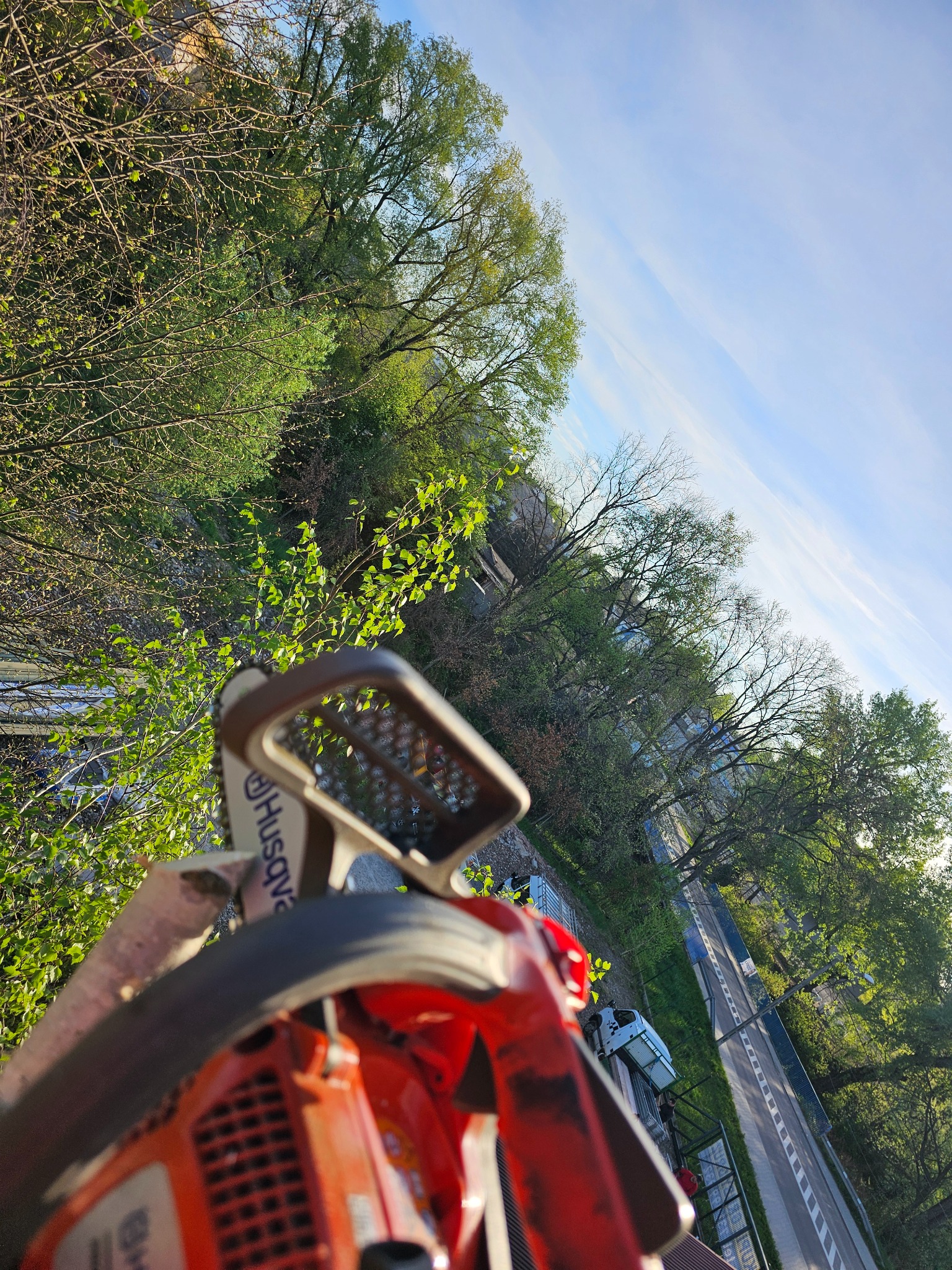 Pomarańczowa piła spalinowa Husqvarna z widocznym ostrzem pośród zieleni drzew i błękitnego nieba, z perspektywy operatora.