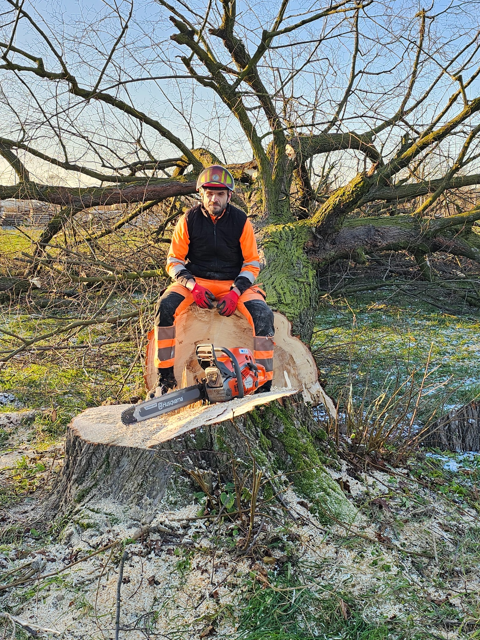 Drwal w kasku i odzieży ochronnej siedzi na ściętym pniu drzewa obok piły łańcuchowej Husqvarna, w tle ścięte gałęzie i resztki drzewa.