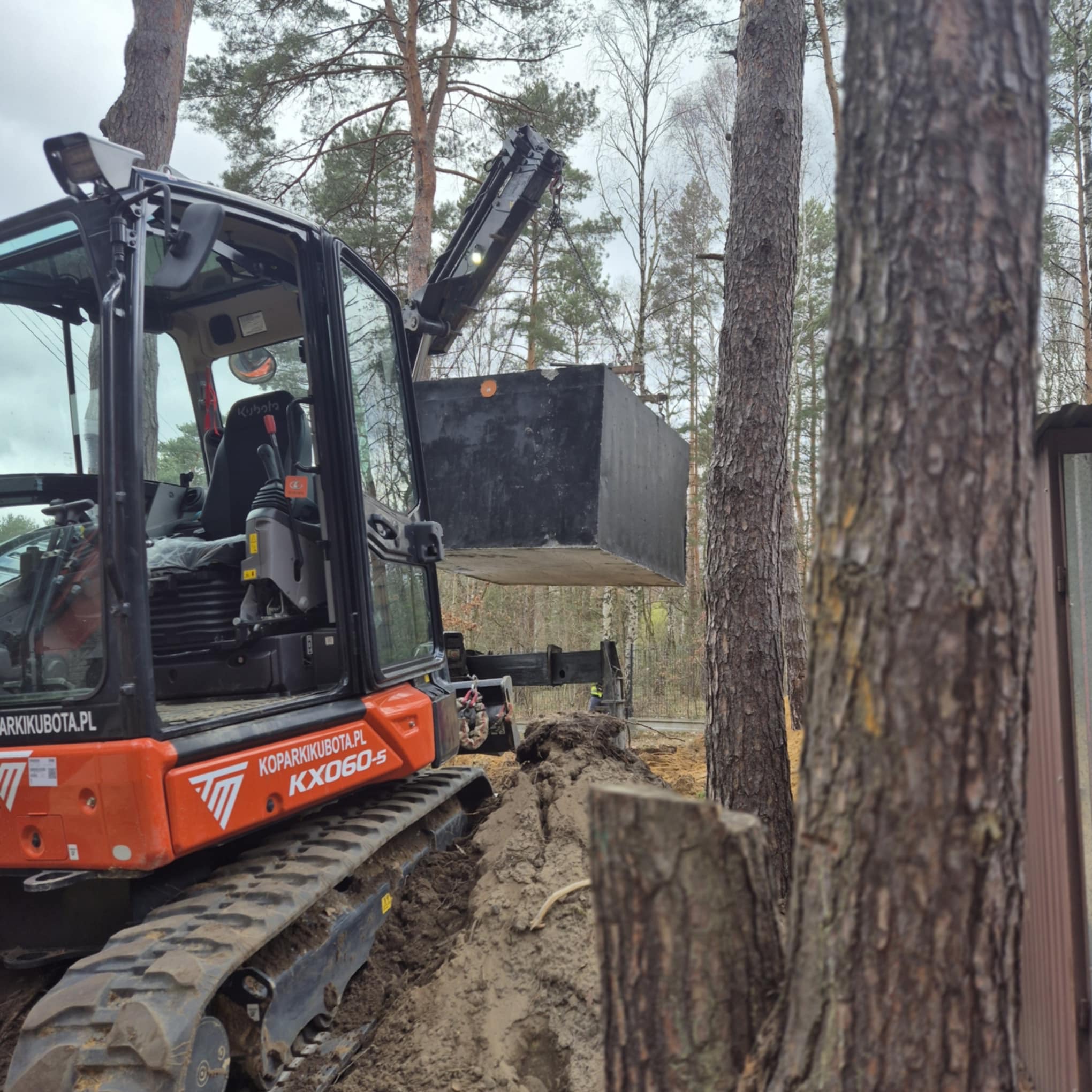 Pomarańczowa minikoparka Kubota KX060-5 podnosi betonowy zbiornik w lesie, przygotowanie do montażu w wykopie.