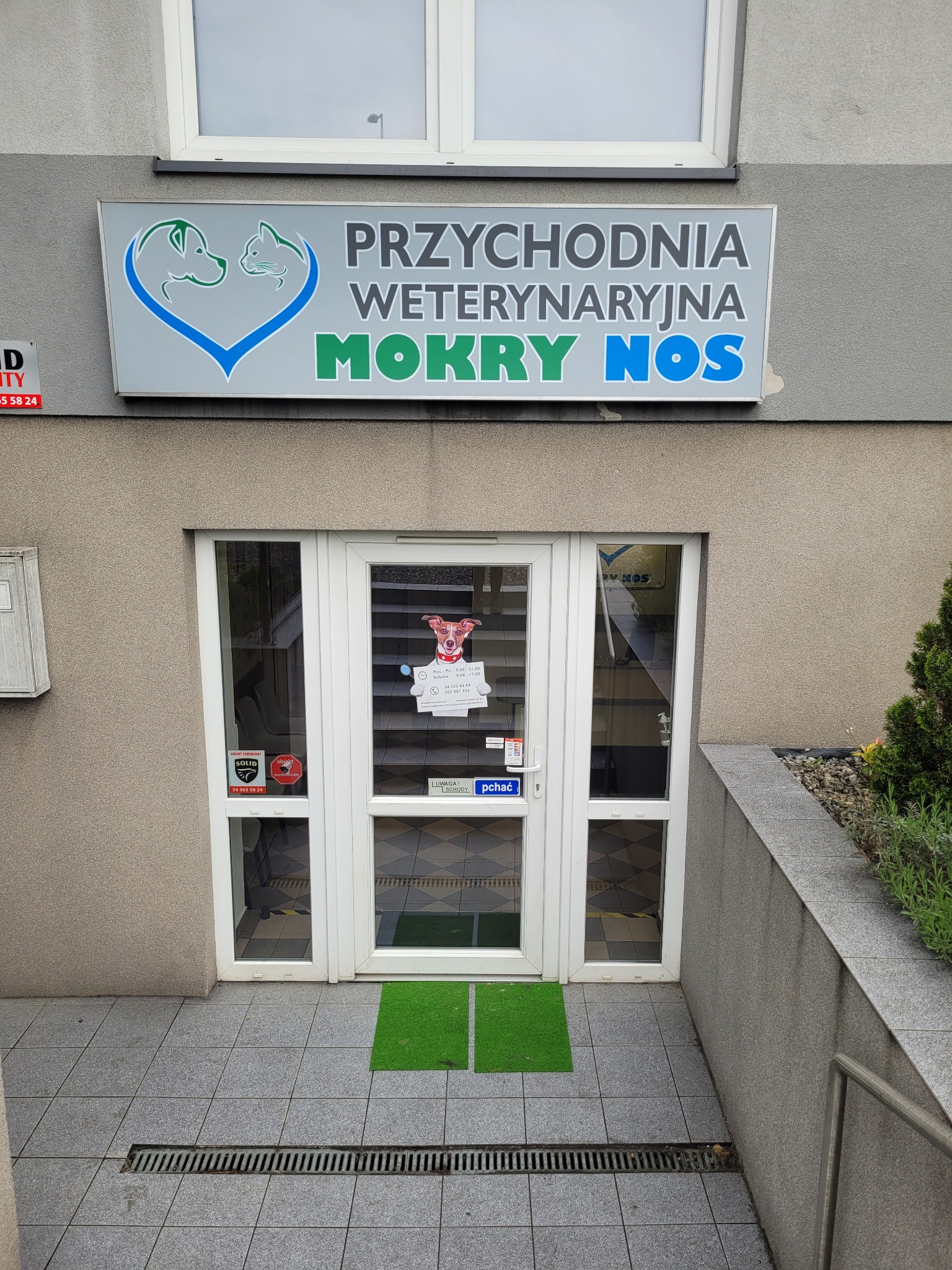 Wejście do przychodni weterynaryjnej 'Mokry Nos' z zielonym wycieraczkiem i szyldem z sylwetkami psa i kota w sercu.