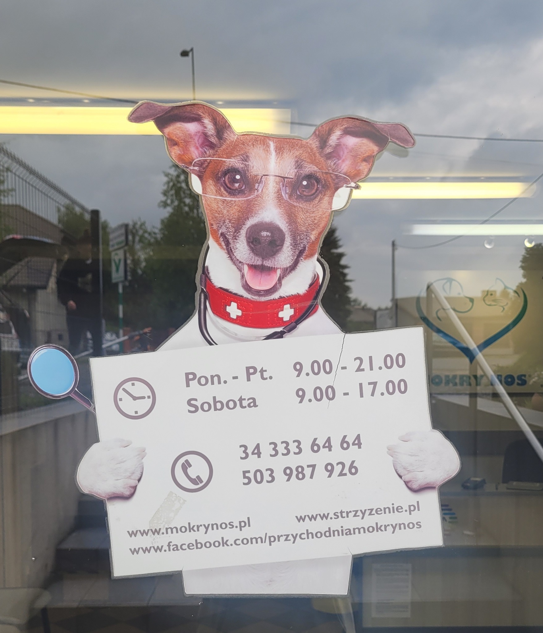 Naklejka na szybie z psem w okularach i stroju lekarza, trzymającym kartkę z godzinami otwarcia i danymi kontaktowymi, logo przychodni dla zwierząt Mokrynos.