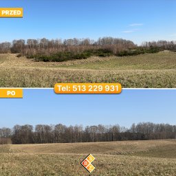 Wycinka drzew Gdynia 4