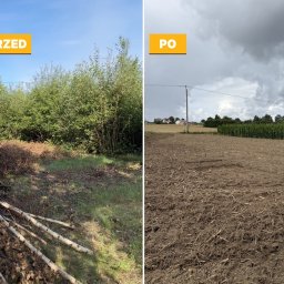 FS INVEST SPÓŁKA Z OGRANICZONĄ ODPOWIEDZIALNOŚCIĄ - Porządkowanie działki przed i po - mulczowanie i wycinka drzew