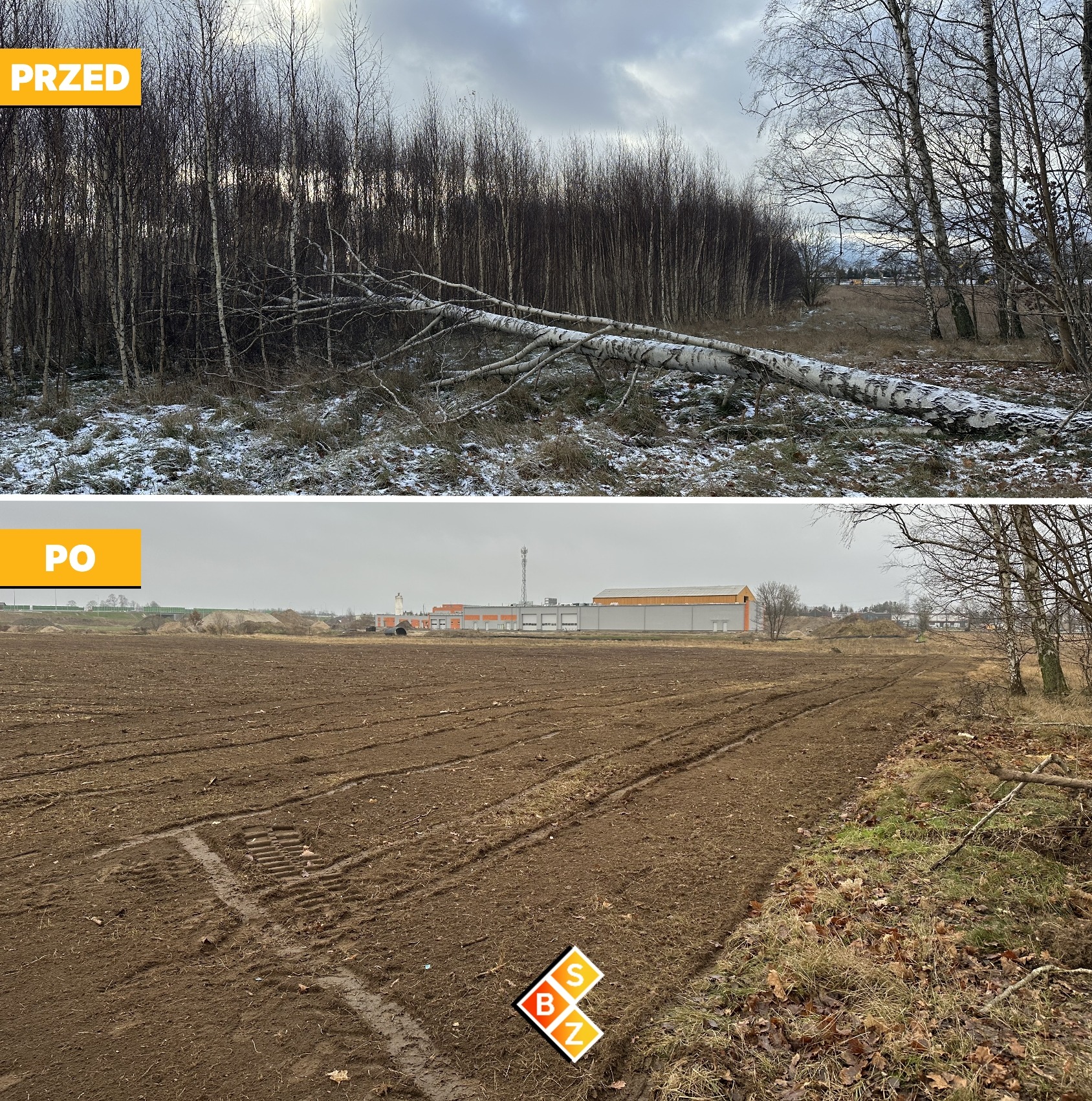 Mulczowanie i wycinka drzew - Miszewo