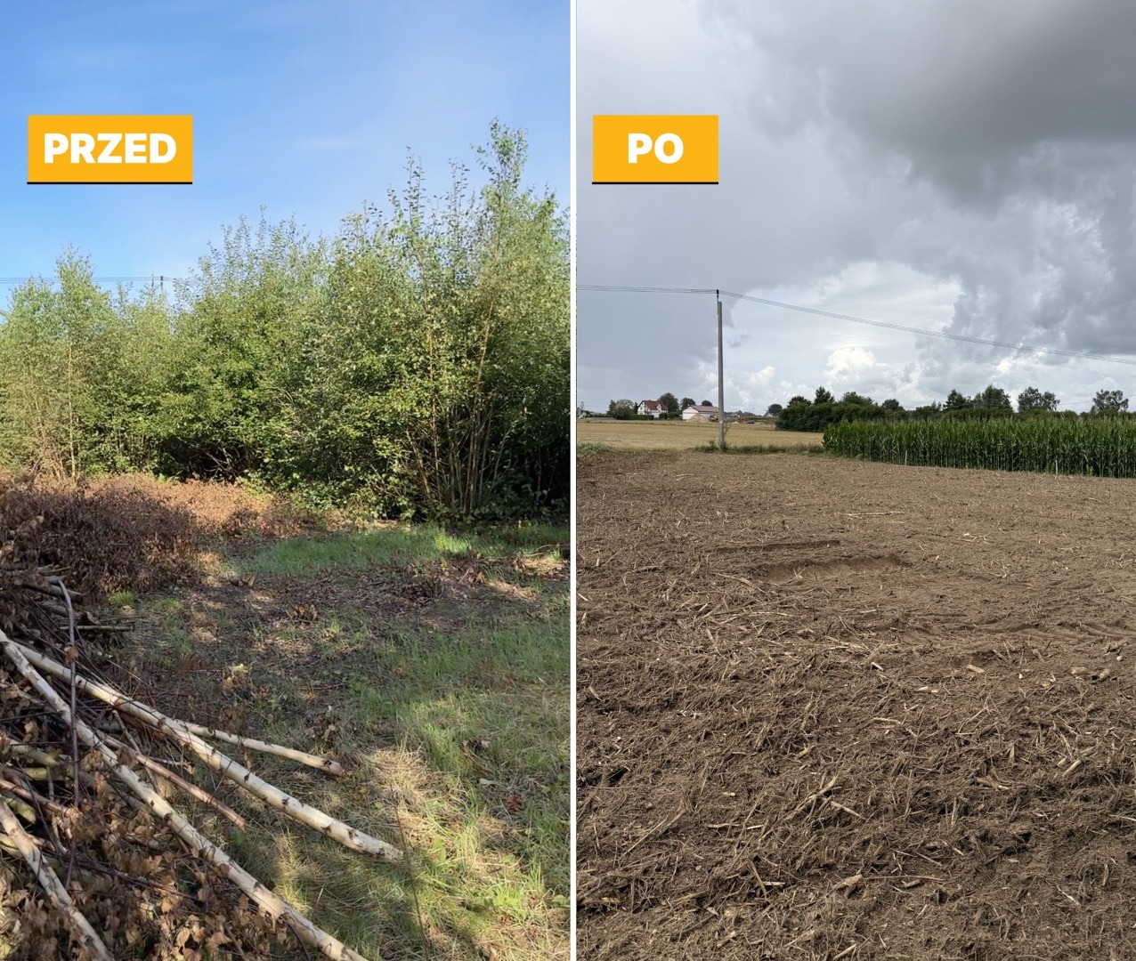 Porządkowanie działki przed i po - mulczowanie i wycinka drzew