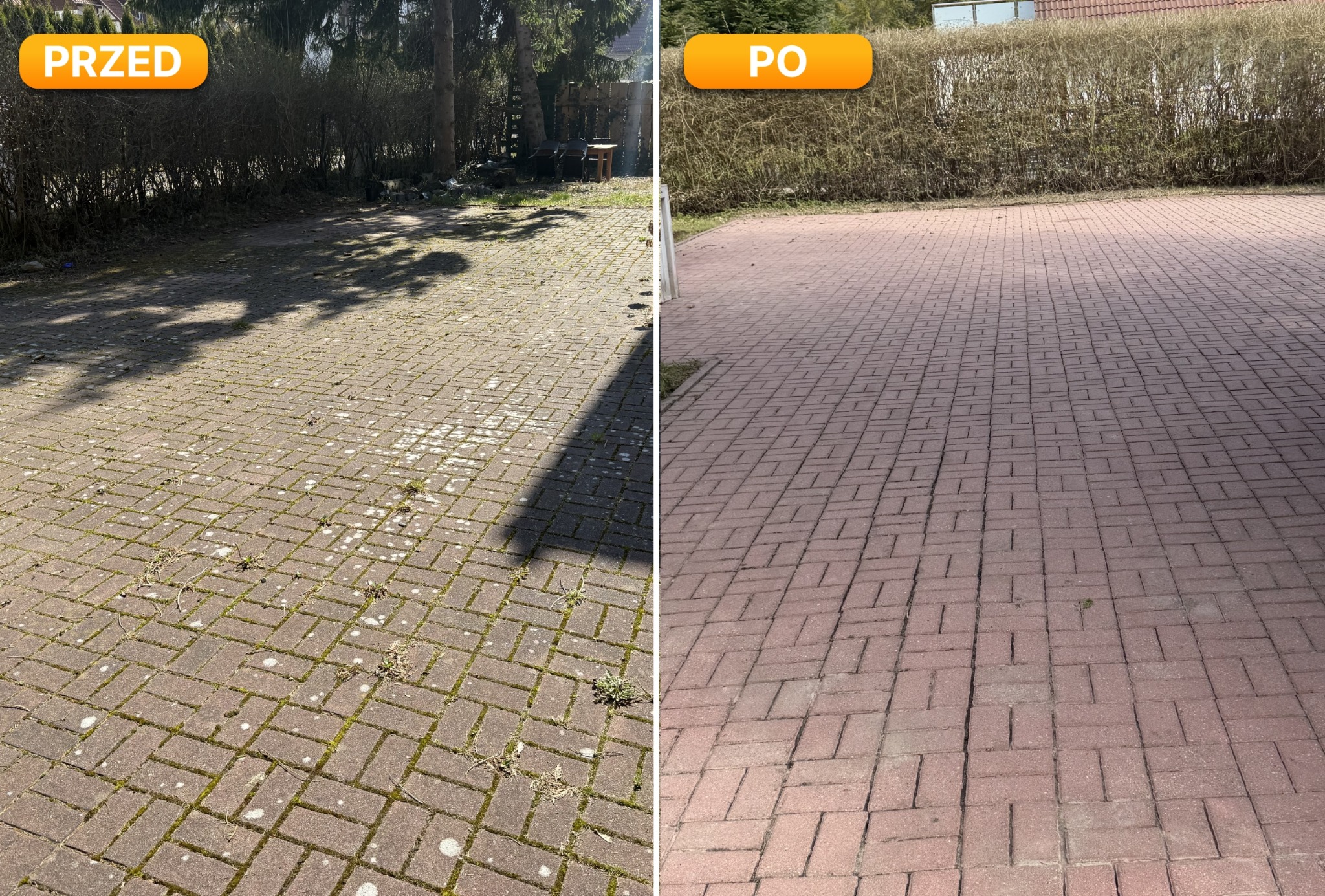 Mycie kostki brukowej z mchu i grzybów