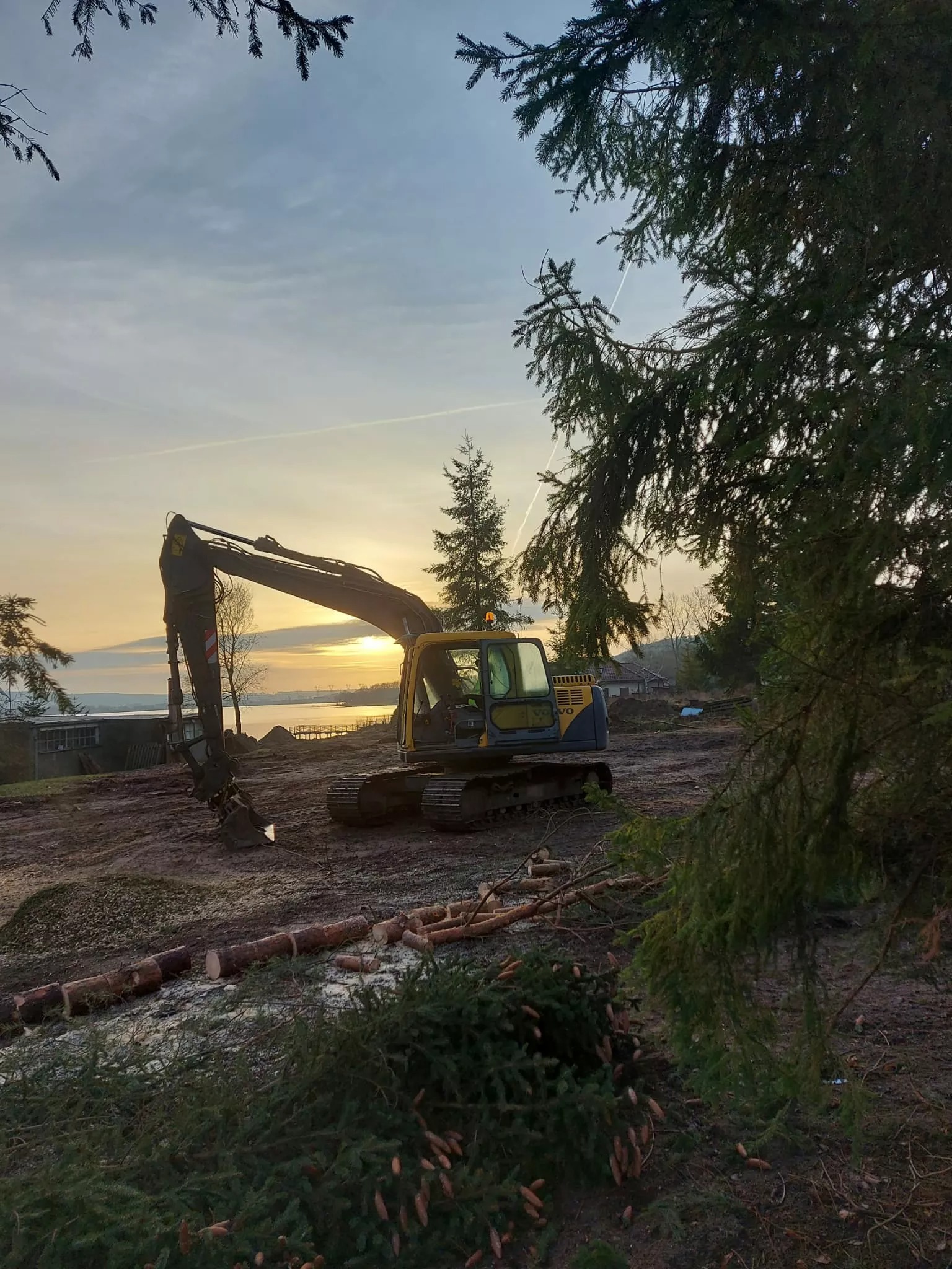 Żółto-szara koparka na terenie po wycince drzew, z pociętymi pniami i gałęziami. W tle jezioro i zachodzące słońce, częściowo zasłonięte przez drzewa.