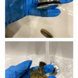 Czyszczenie zapchanego syfonu umywalki we Wrocławiu: ręka w niebieskiej rękawicy trzyma wyczyszczony syfon, a poniżej woda spłukuje brudny syfon.