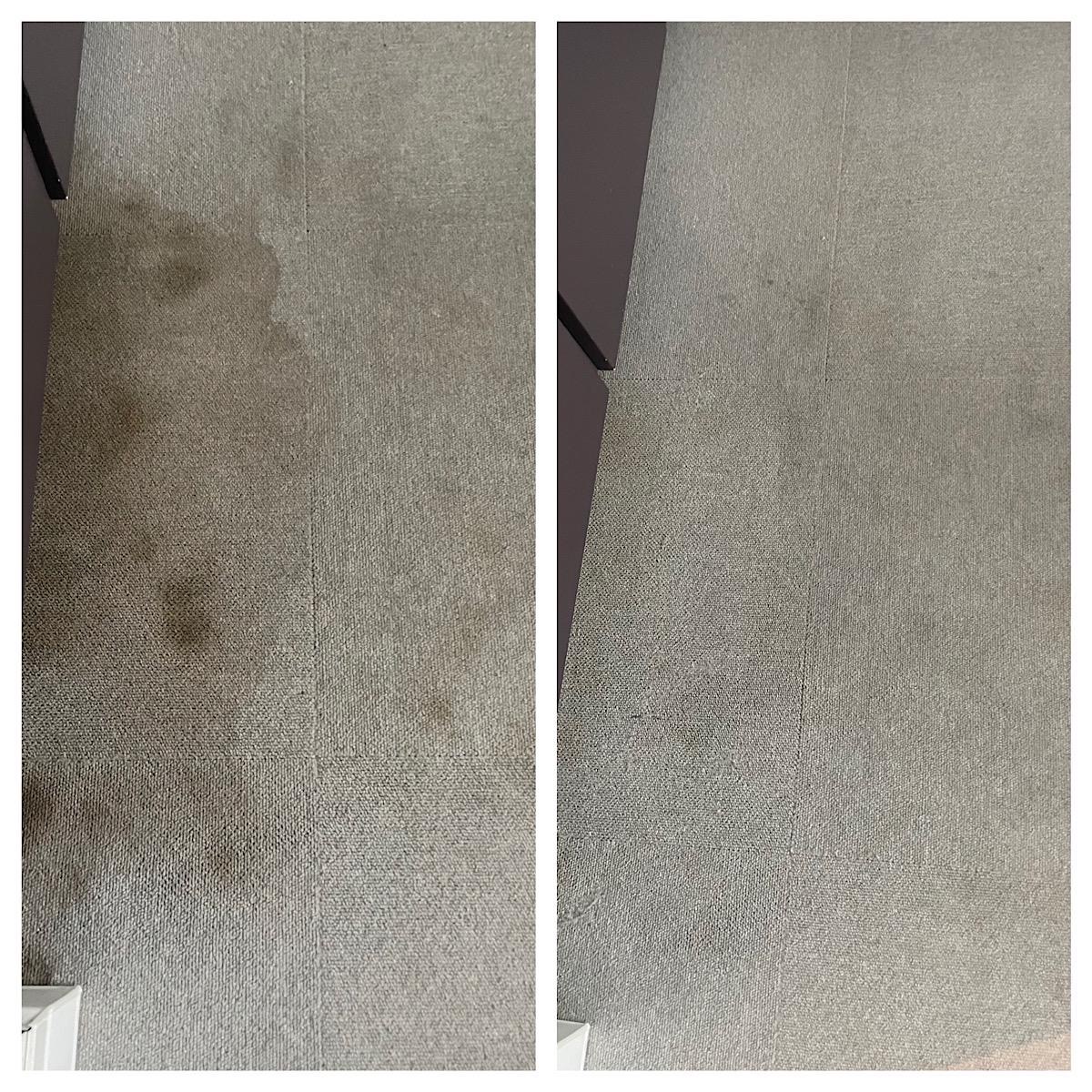 Dywan przed i po czyszczeniu: widoczne ciemne plamy usunięte z powierzchni dywanu, z lewej strony dywan zabrudzony, z prawej strony dywan po czyszczeniu.