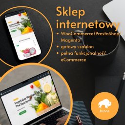 Tworzenie sklepów internetowych Wierzchosławice 2