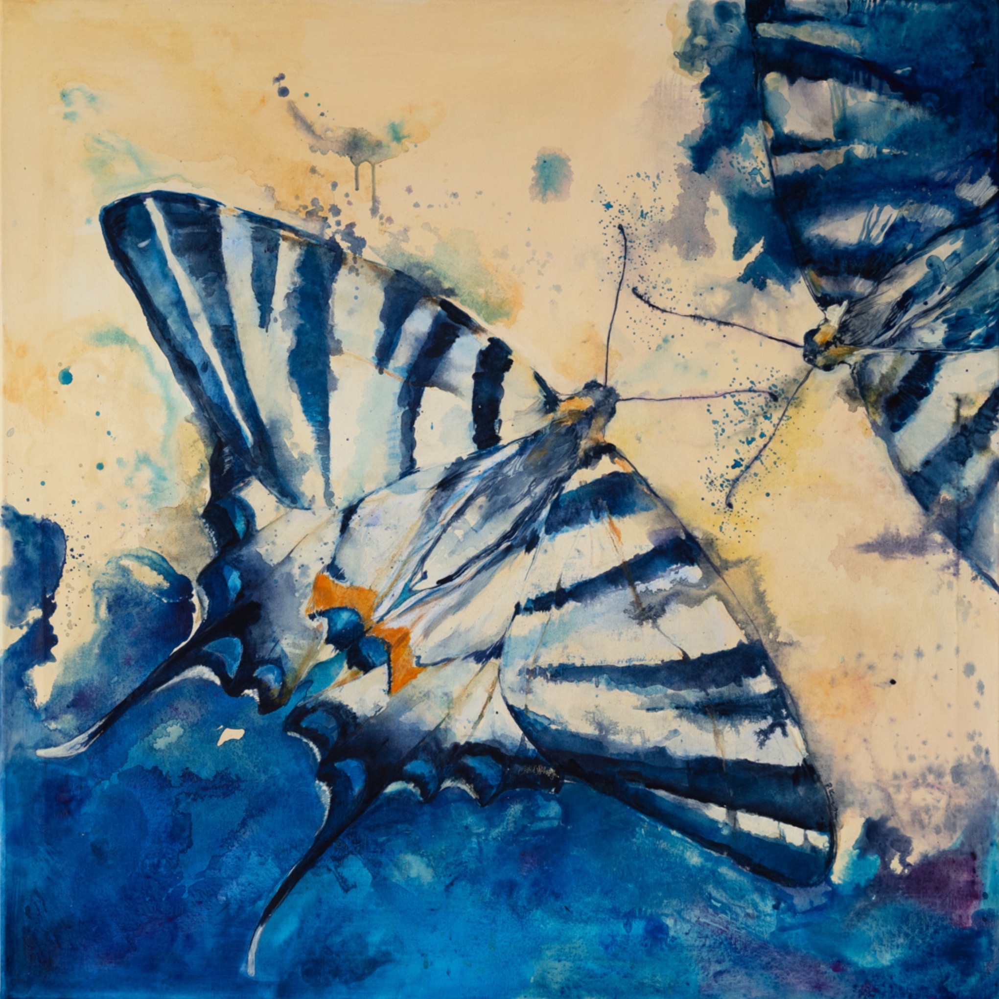 Akwarelowe przedstawienie dwóch motyli o charakterystycznych czarno-białych pasach na skrzydłach, umieszczonych na rozmytym tle w odcieniach beżu i błękitu, z widocznymi plamami farby i delikatnymi...