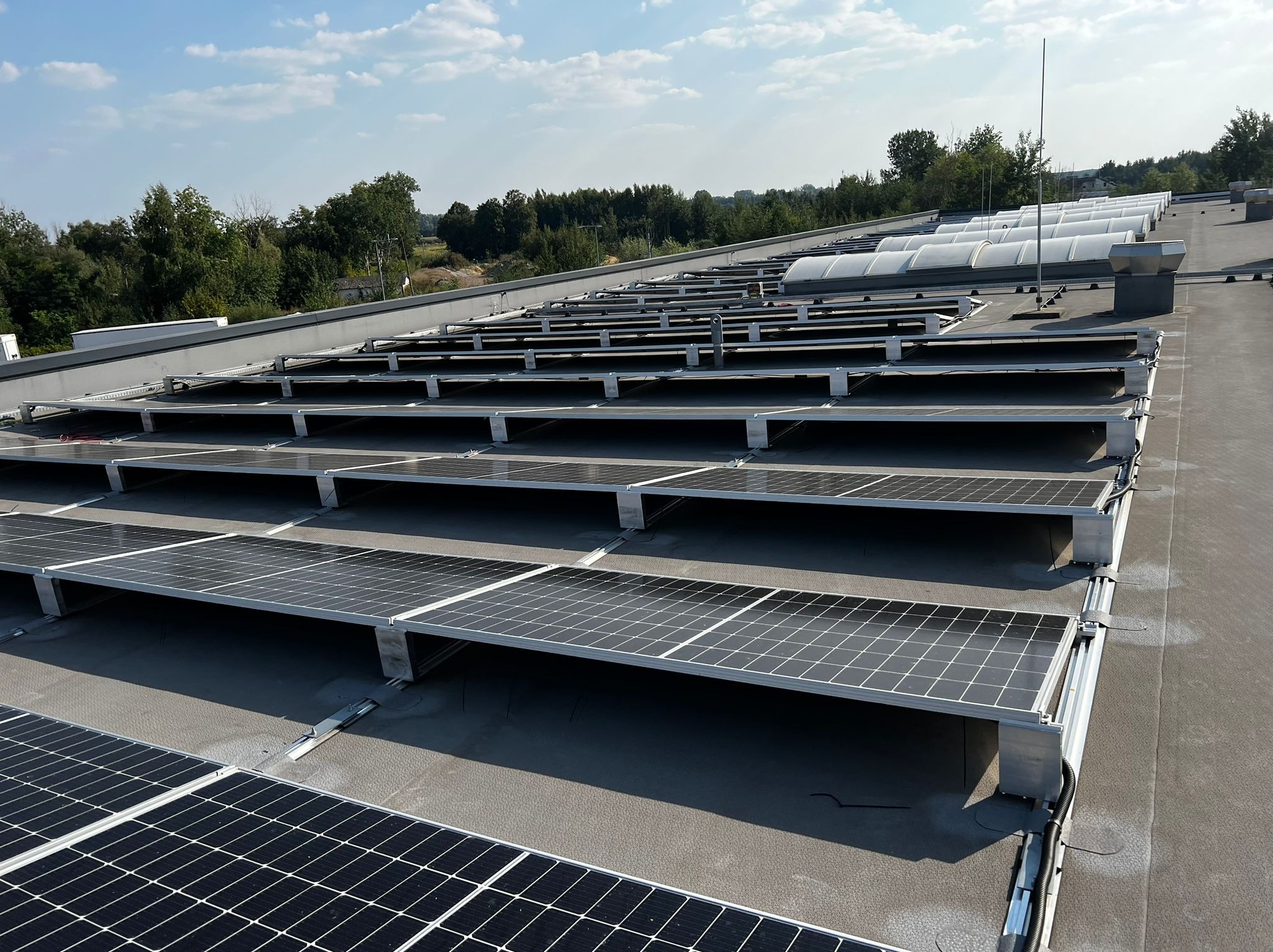 Rząd paneli słonecznych na płaskim dachu budynku przemysłowego, widoczne elementy montażowe i systemy wentylacyjne, w tle zieleń drzew i błękitne niebo.