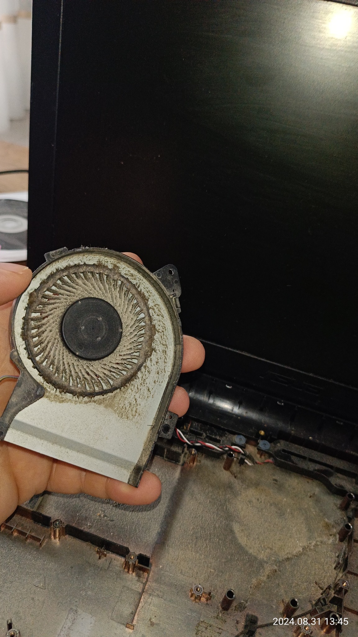 Brudny wentylator laptopa trzymany w dłoni nad rozkręconą obudową, widoczne ślady kurzu i demontażu.