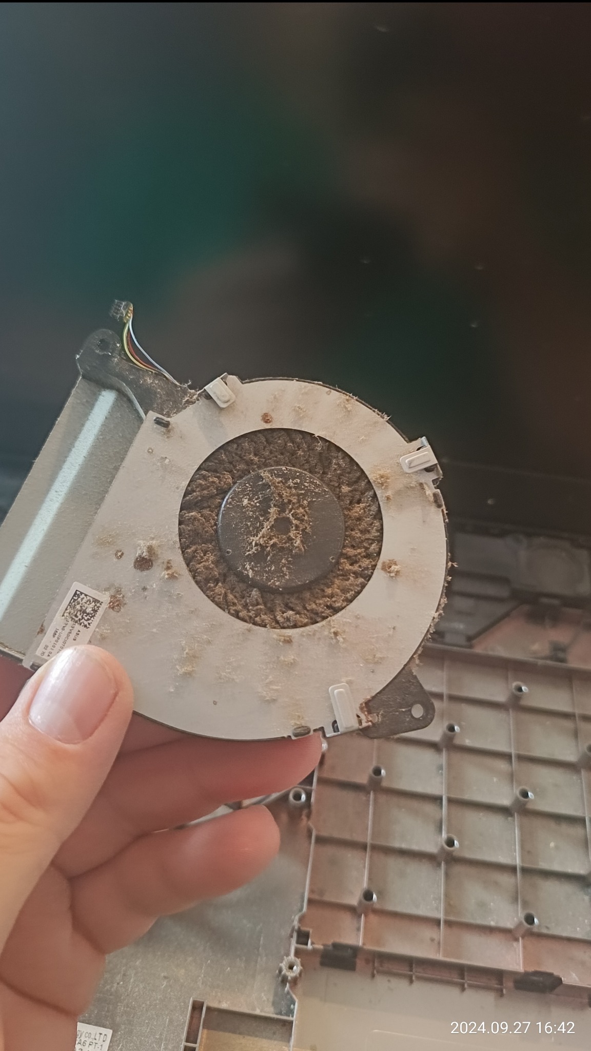 Zablokowany kurzem wentylator laptopa trzymany w dłoni, widoczne wnętrze obudowy laptopa z nagromadzonym pyłem.