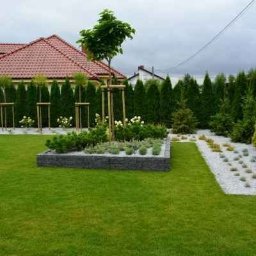 Zakładanie ogrodów Luzino 1