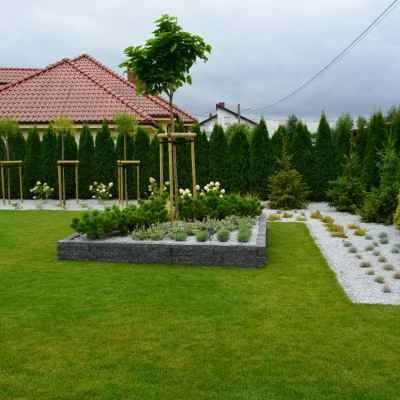 Starannie zaprojektowany ogród przydomowy z równo przystrzyżonym trawnikiem, obrzeżami z kamienia, rabatą z niskimi roślinami oraz ścieżką z białego żwiru, otoczony szpalerem wysokich, zielonych tuj.