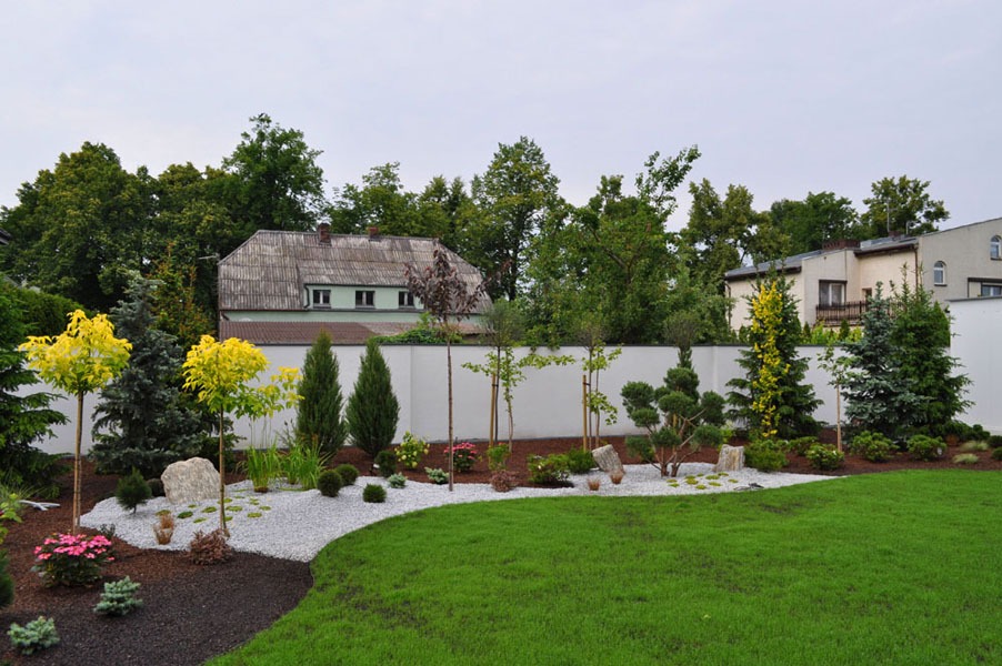 Nowoczesny ogród z równo przystrzyżonym trawnikiem, białym żwirem, ozdobnymi drzewami i krzewami, z białym murem w tle.