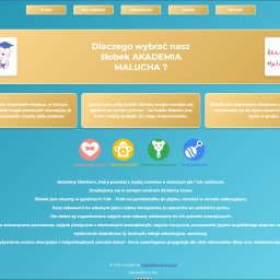 Code Wave Solutions - Strona internetowa żłobka Akademia Malucha z ilustracjami niemowlaka w birecie, prezentująca misję i ofertę placówki.