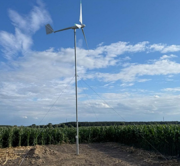 Niska turbina wiatrowa z trzema śmigłami, zainstalowana na polu kukurydzy, zabezpieczona linami odciągowymi, widok w słoneczny dzień pod błękitnym niebem.