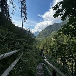 Przewóz osób Wieleń 2