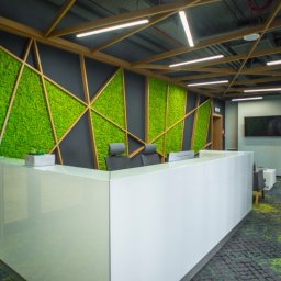 e-Support Sp. z o.o. - Nowoczesne biuro: biała lada recepcyjna na tle ściany z zielonego mchu, oświetlonej liniowymi lampami sufitowymi, z elementami drewnianej konstrukcji geometrycznej.