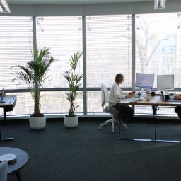 FIK FINANSE I KSIĘGOWOŚĆ SPÓŁKA Z OGRANICZONĄ ODPOWIEDZIALNOŚCIĄ - Jasne biuro z trzema osobami pracującymi przy biurkach, duże okna z widokiem na zewnątrz, rośliny doniczkowe i nowoczesne wyposażenie. Kameralna atmosfera pracy.