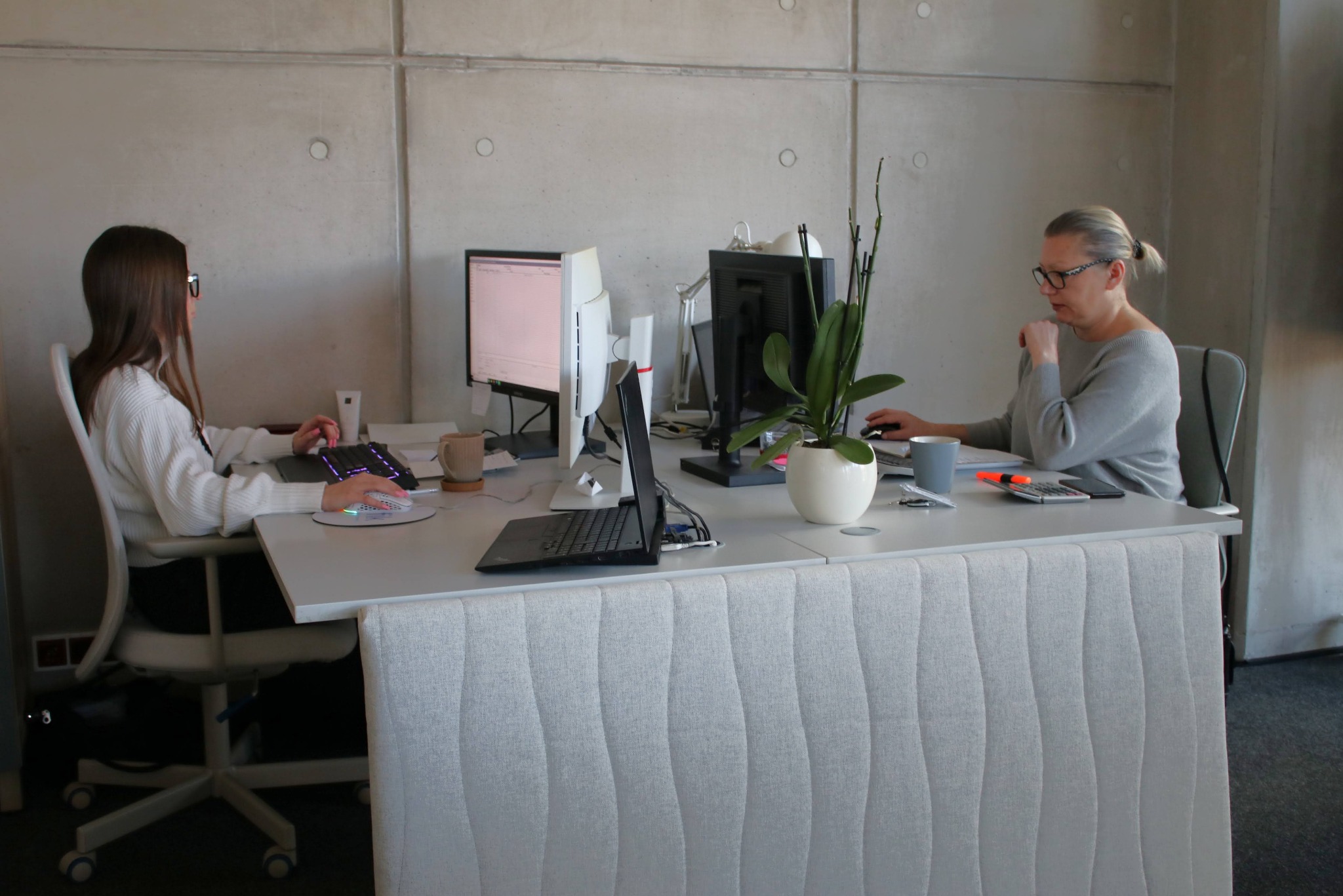 Dwie kobiety pracują przy biurkach w nowoczesnym biurze. Na biurkach komputery, lampki, kubki i roślina w białej doniczce. Betonowa ściana w tle.