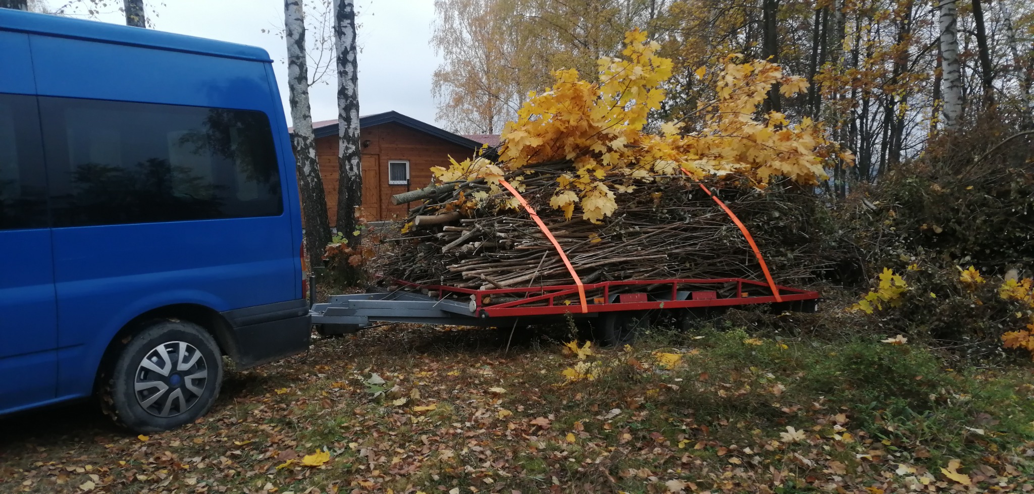 Niebieski bus z przyczepką załadowaną gałęziami i pniem drzewa z żółtymi liśćmi, zabezpieczonymi pomarańczowymi pasami transportowymi, na tle jesiennego lasu i drewnianego domku.