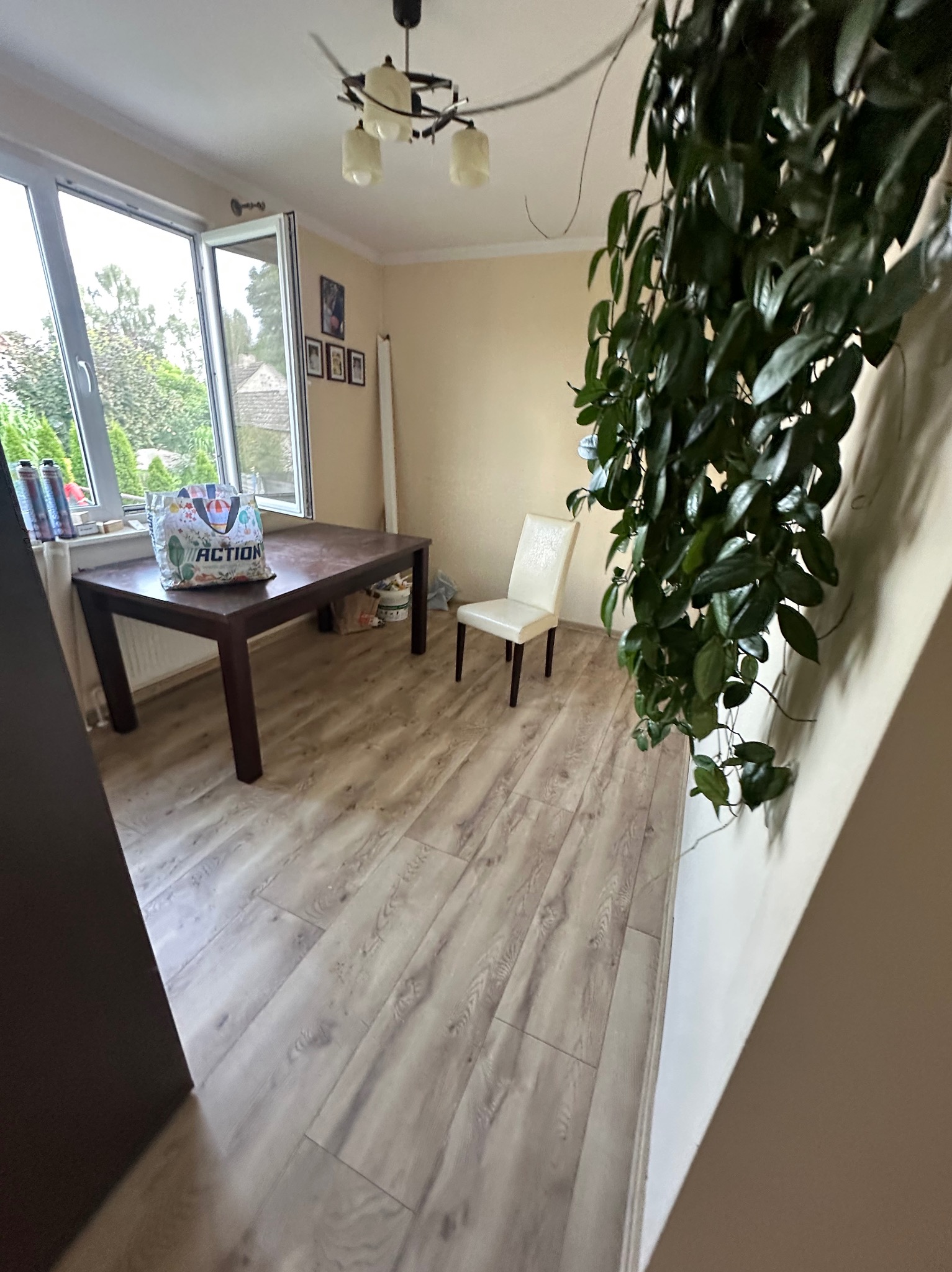 Jasne panele podłogowe w pokoju z oknem, brązowym stołem i białym krzesłem. Duża roślina zwisająca z sufitu dodaje naturalnego akcentu. Widok na zewnątrz przez okno.