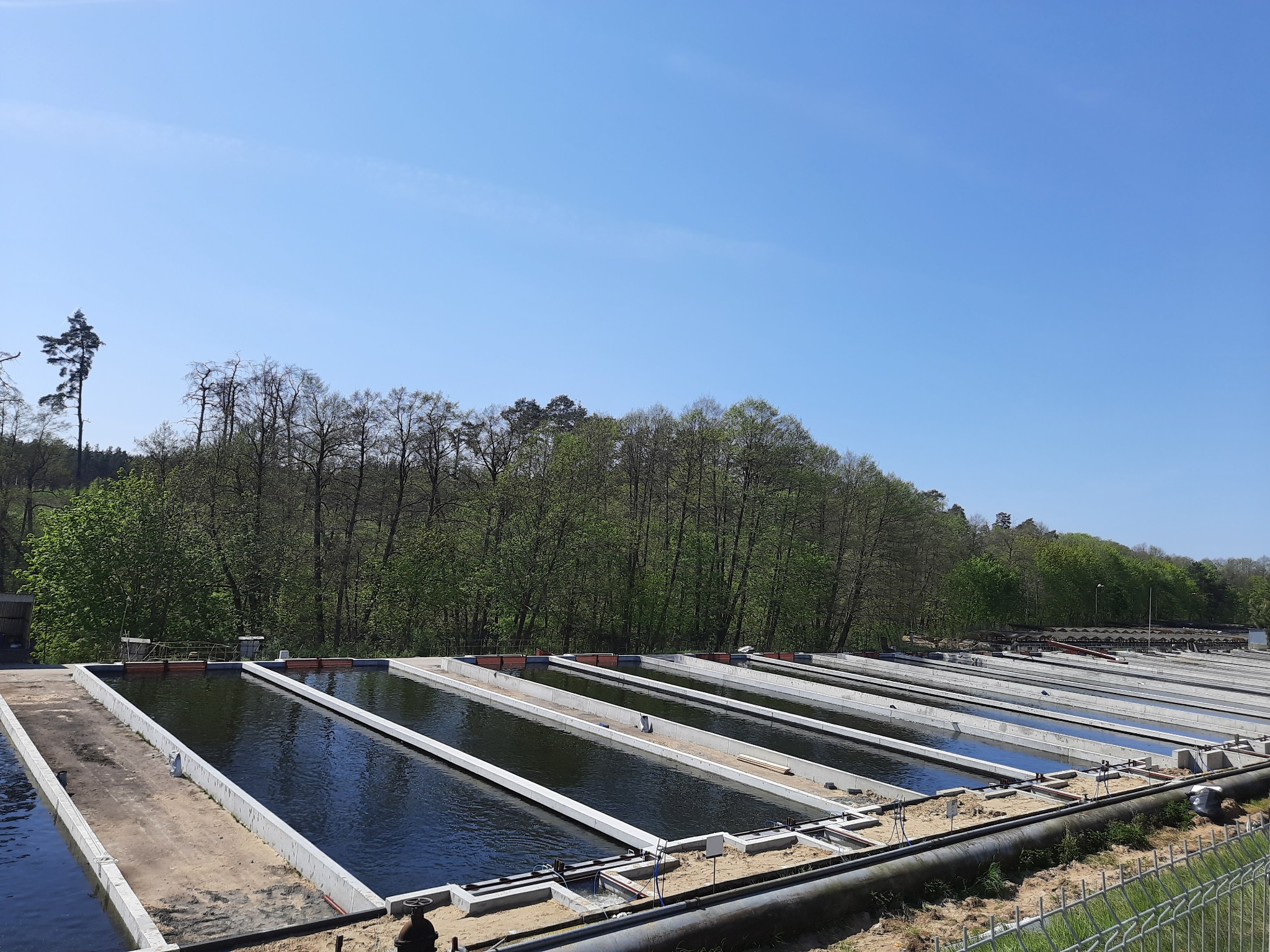 Wykonanie rozbudowy stawów, wykorzystywanych do hodowli jesiotra w miejscowości Mylof