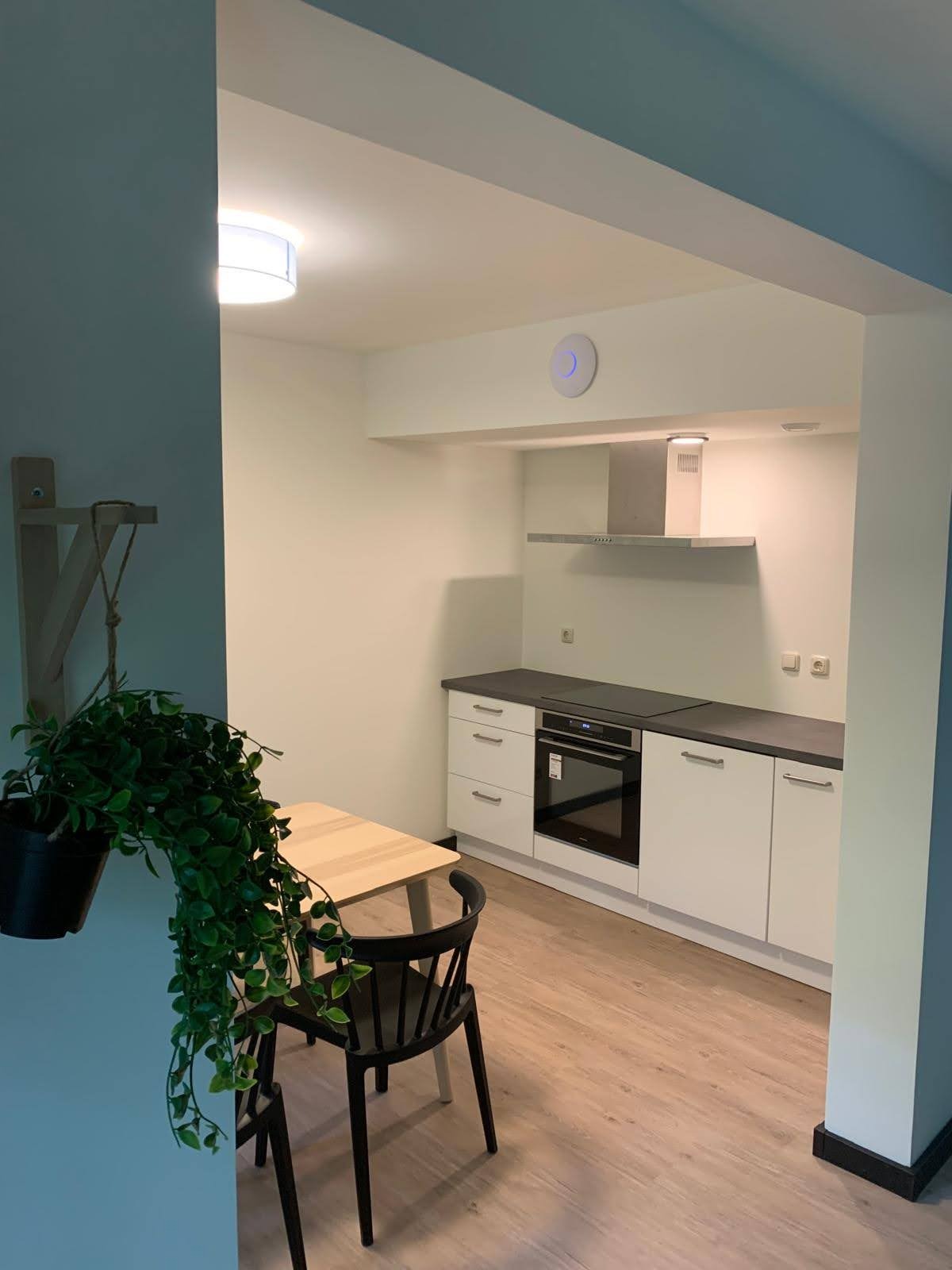 Wnętrze odnowionej kuchni w Zielonej Górze z białymi szafkami, drewnianym blatem stołu i wiszącą rośliną doniczkową, po remoncie.