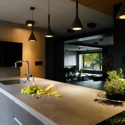 Anna Bartman - Z WNĘTRZA - Nowoczesna kuchnia z szarą wyspą, na której leżą winogrona, ser i zioła w doniczce; w tle widoczny salon z dużym oknem.