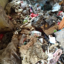 Zdjęcie przed sprzatnieciem