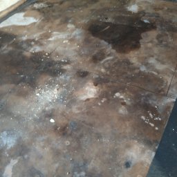 Zdjęcie po sprzątnięciu pustostanu