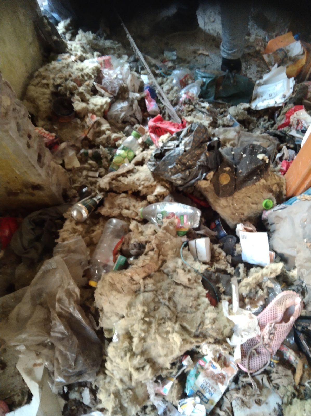 Zdjęcie przed sprzatnieciem