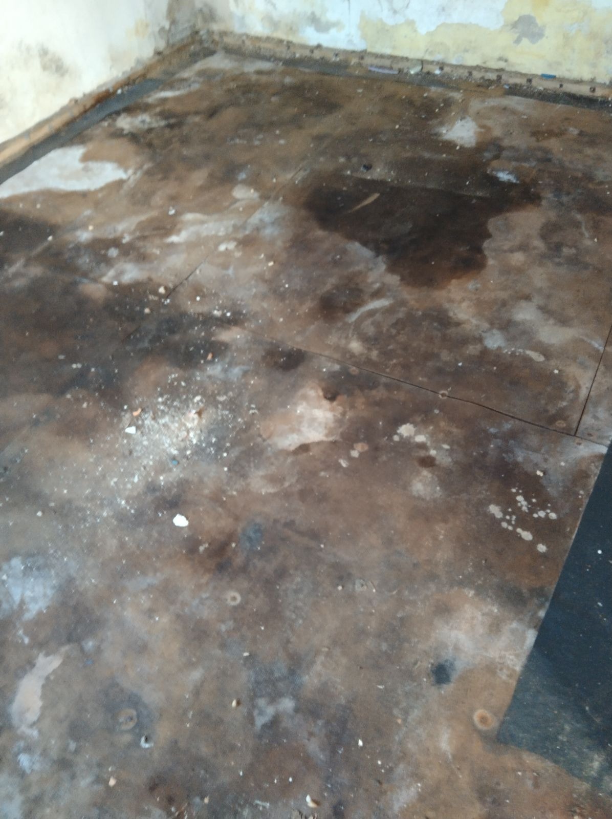 Zdjęcie po sprzątnięciu pustostanu