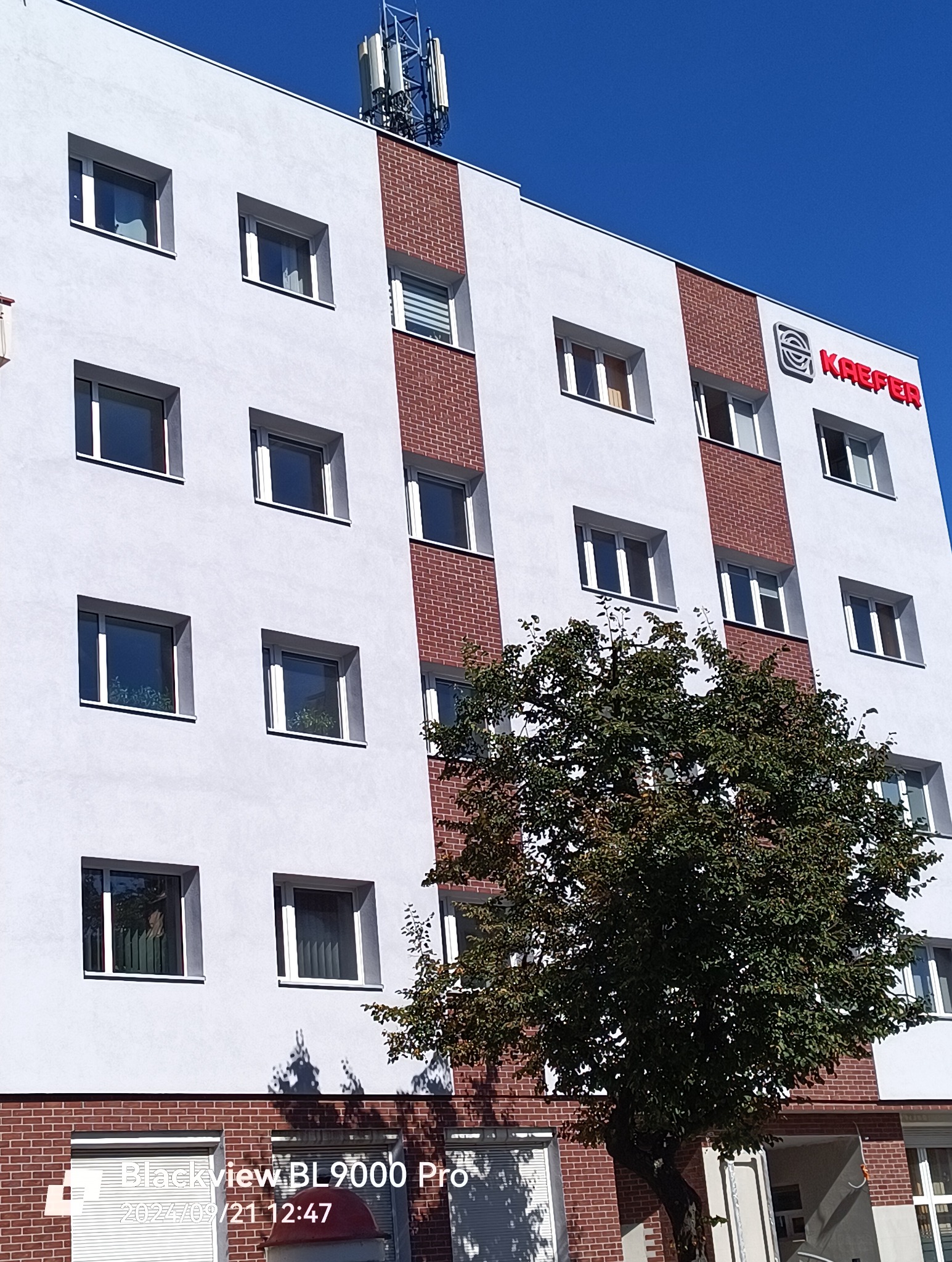 Wielopiętrowy budynek z białą elewacją, pionowymi pasami z cegły, logo firmy Kaeffer i anteną na dachu, częściowo zasłonięty przez drzewo.
