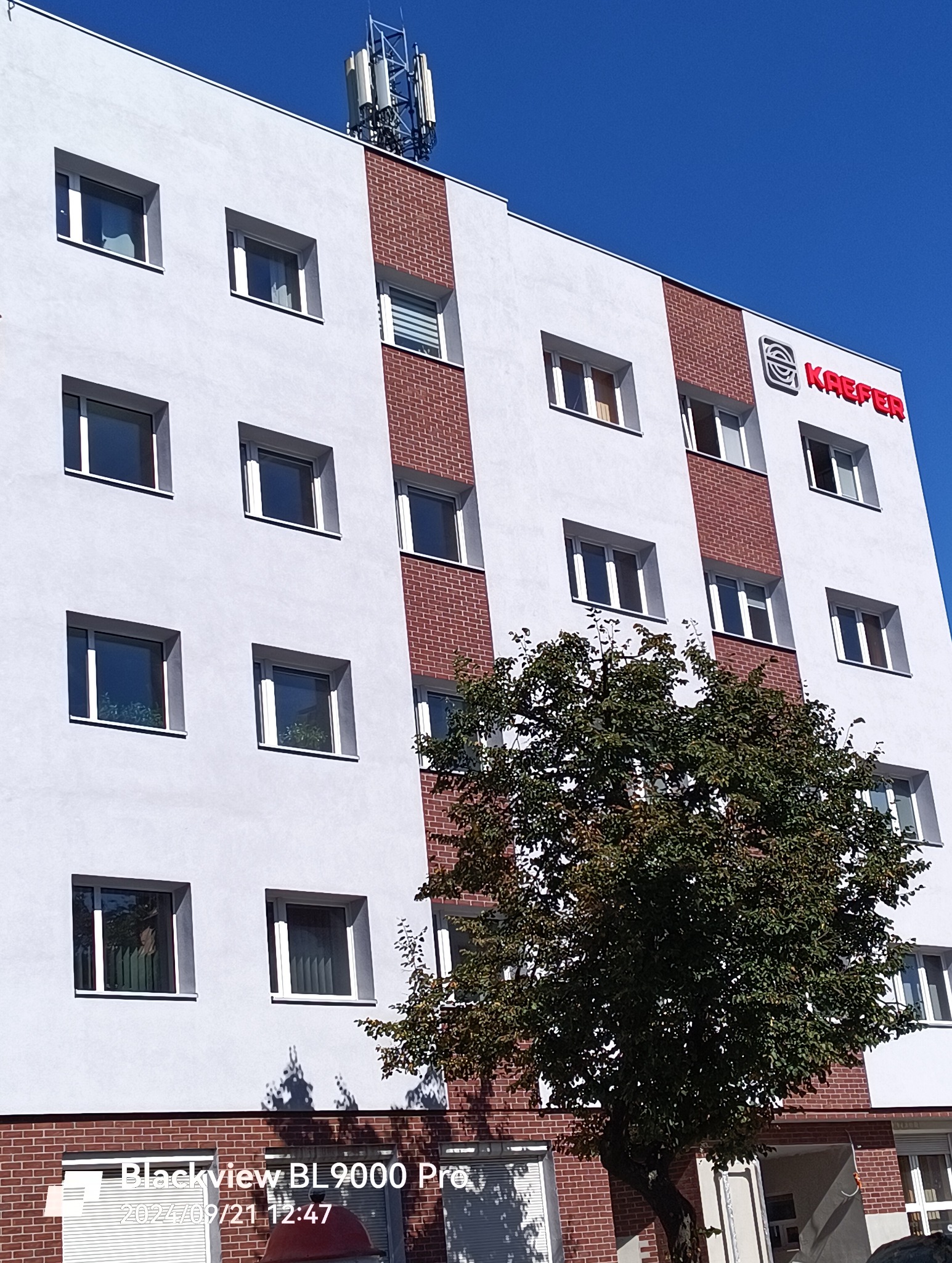 Wielopiętrowy budynek po renowacji elewacji, z białymi ścianami i pasami z czerwonej cegły, widoczny z dołu, z drzewem na pierwszym planie i anteną na dachu.