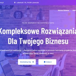 Tworzenie stron internetowych Lulewiczki 1