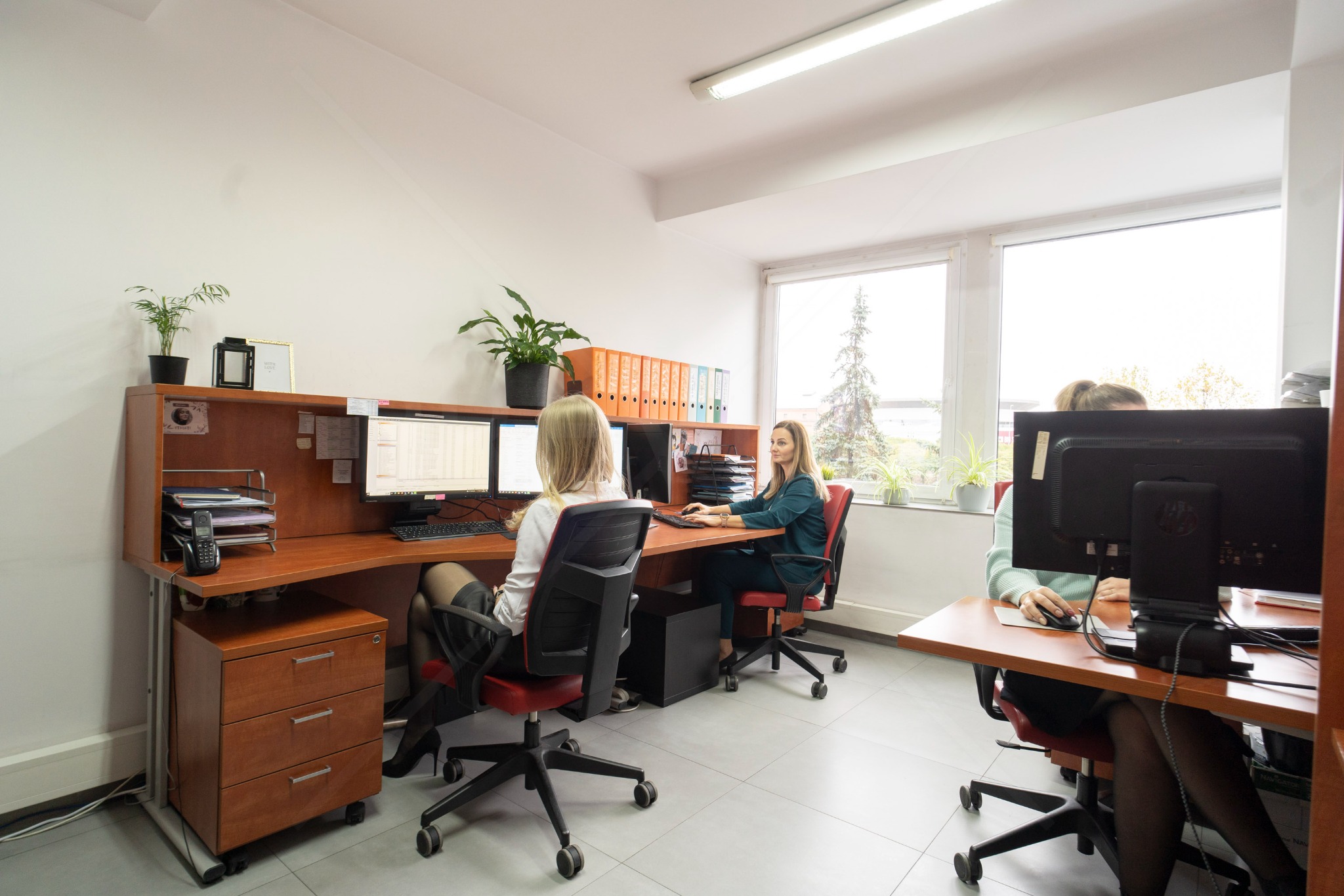 Jasne biuro rachunkowe: trzy kobiety pracują przy biurkach z komputerami, segregatory i rośliny na półkach, duże okna z widokiem na zewnątrz, nowoczesne wnętrze.